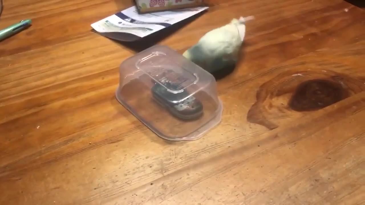 TRY NOT TO LAUGH 😆 Best Funny Videos Compilation 😂😁😆