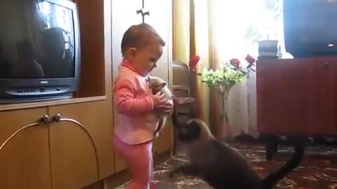 Mama Cat Takes Back Crying Kitten From Toddler