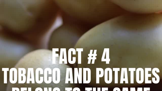 5 Amazing Facts About Potatoes that you never knew