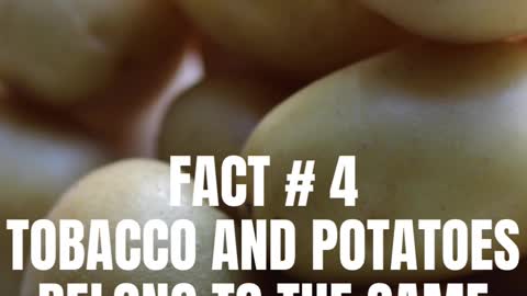 5 Amazing Facts About Potatoes that you never knew