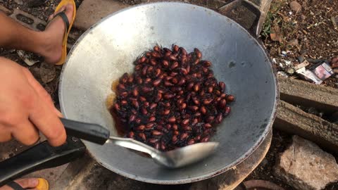 Cooking Insects on Pan