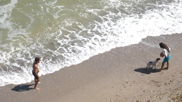 Natural scene in beech side playing with dog