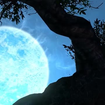 She Was Such A Charmer