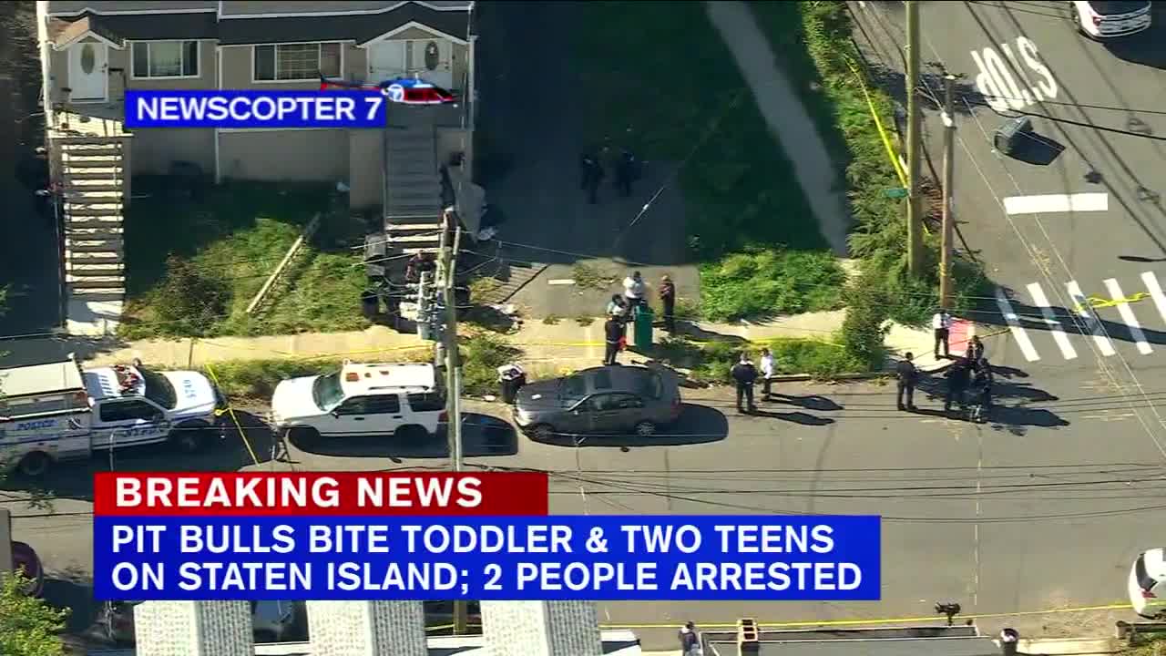 Pottery Ba2 teens, toddler attacked by pit bulls on Staten Islandrn Wedding Registry