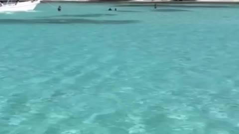 Paradise Beach