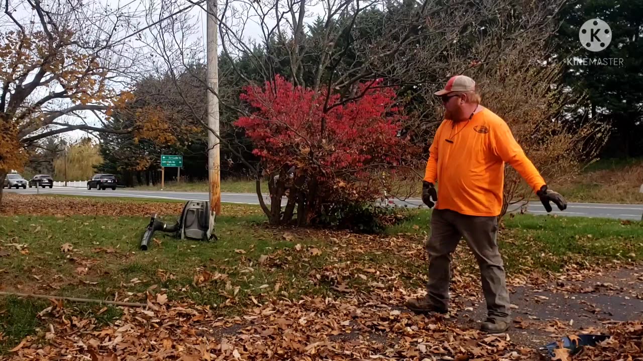 Last Mowing of 2021 and a Huge Leaf Cleanup