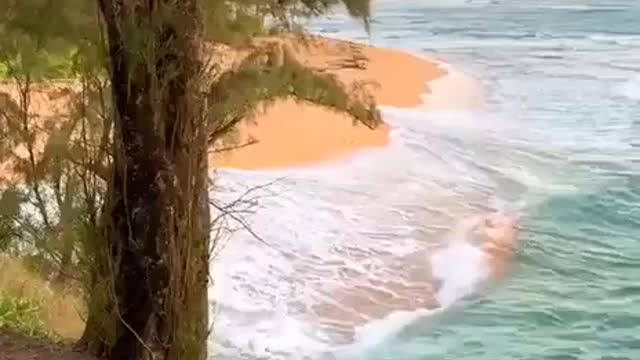 The magical world of nature in the Hawaii. Волшебный мир природы на Гавайях.