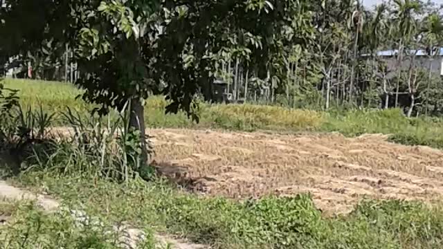 Clean view of my area