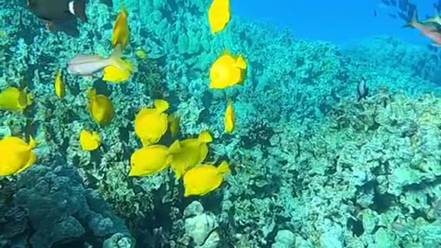 underwater#haveablessedday