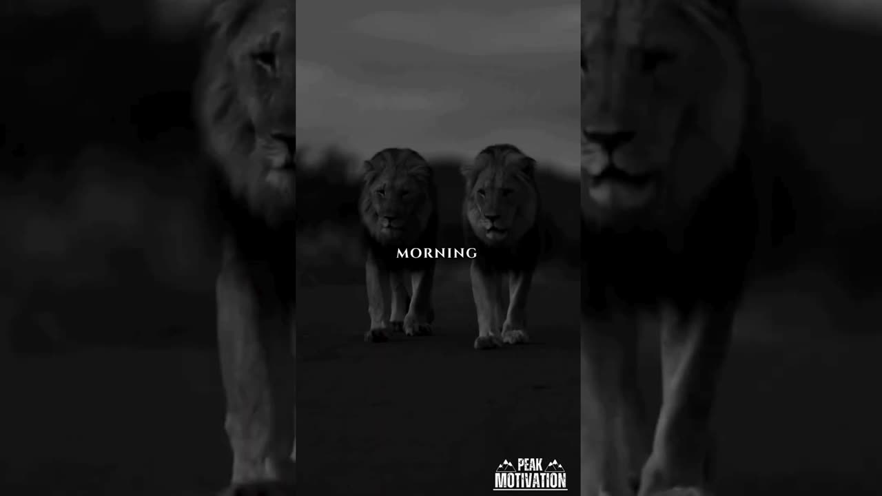 Not Risking Anything Is The Riskiest Move Of All #mindset #motivation #mindsetmatters #success