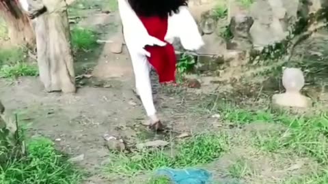 Beautiful Hair Video
