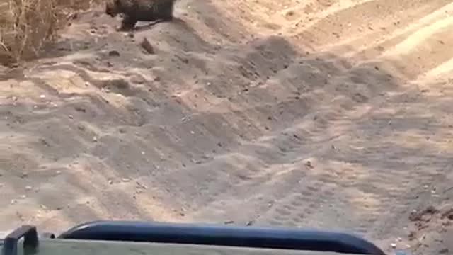 Amazing Moment, Mother says come but children say no