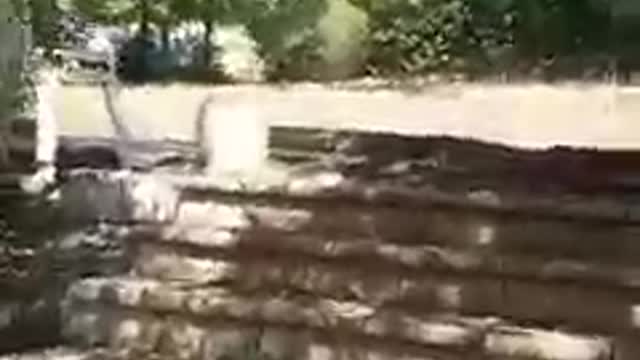 Boycott Bleu 1 avec Maj 13/08