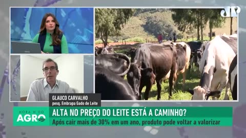 Crise do leite: fim da tempestade?