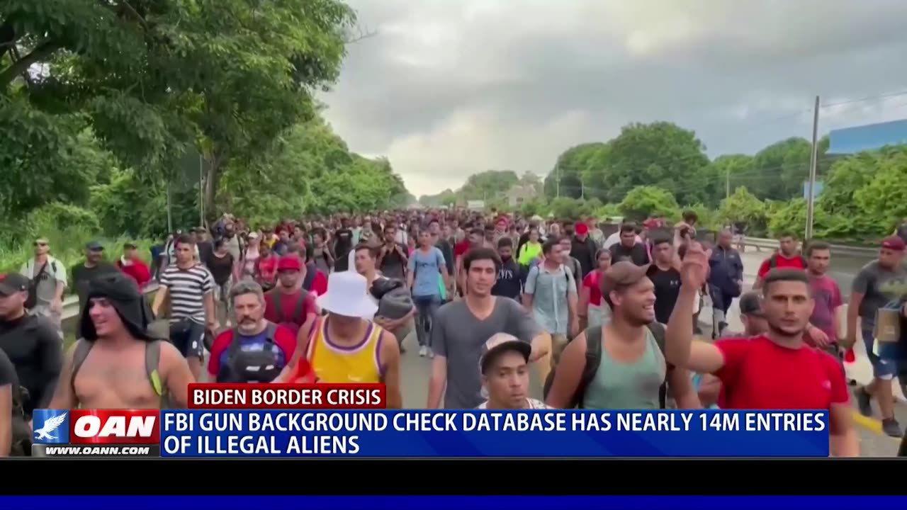 FBI Gun Background Check Database Has Nearly 14M Entries Of Illegal Aliens