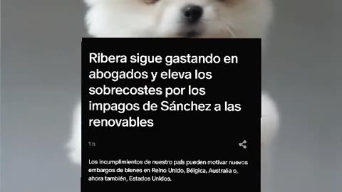 Ribera sigue gastando en abogados por los impagos de Sánchez a las renovables