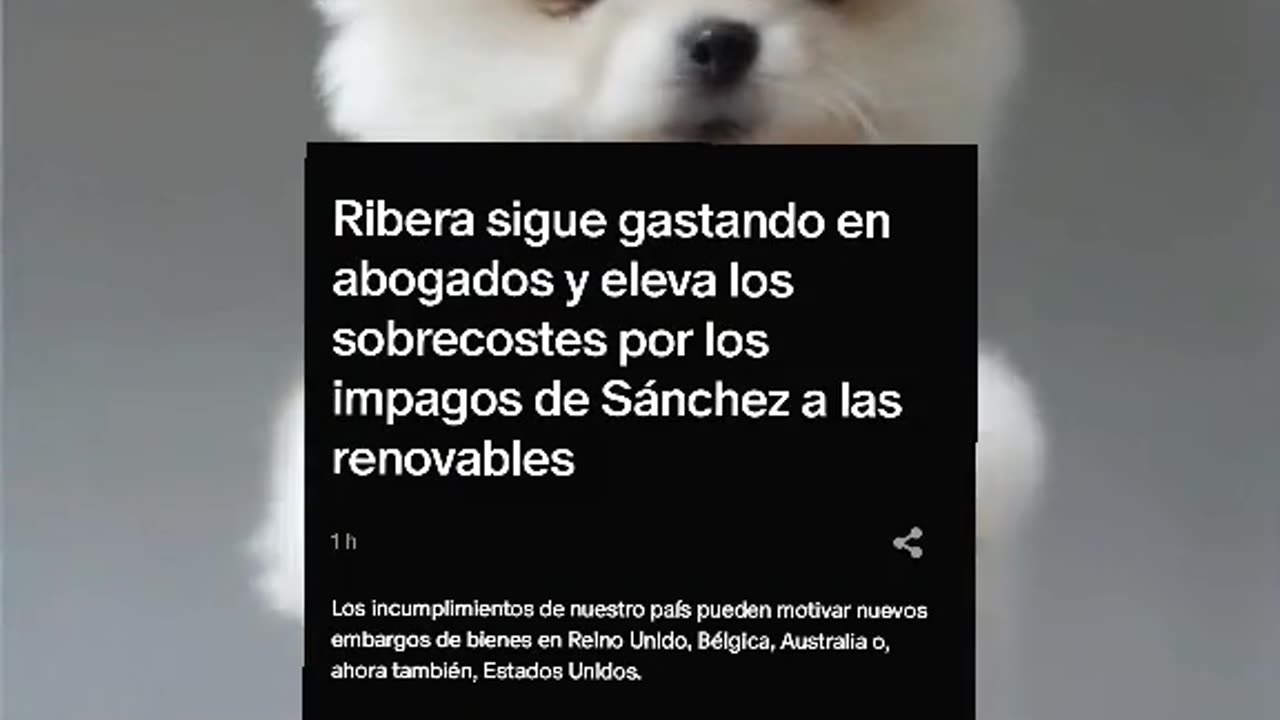 Ribera sigue gastando en abogados por los impagos de Sánchez a las renovables