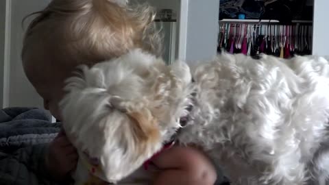 Baby and puppy kisses! so sweet!