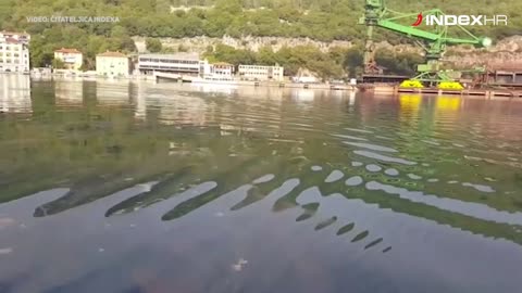 Pogledajte veliku masnu mrlju koja pluta morem oko Bakra