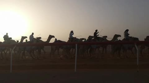 It's a race to get up inside Dubai