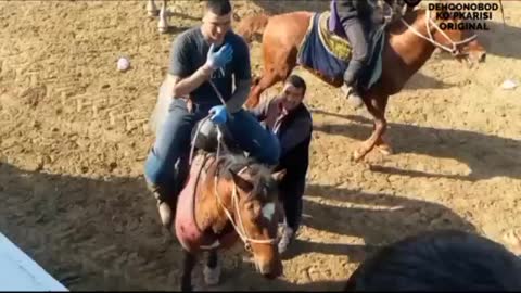 Horse national sport 2 kupkari is uzbekistan