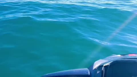 Water bike ride today