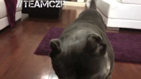 An Evening with Czr (He's so demanding) lol