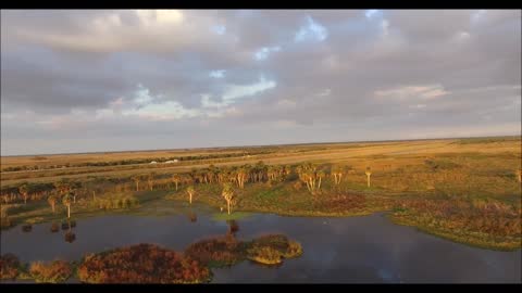 Fellsmere Florida. Unspoiled Florida (drone Flight)