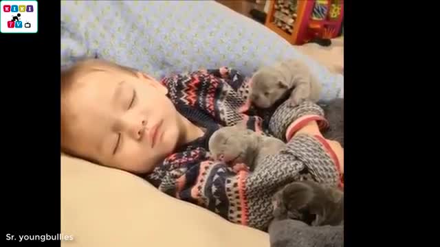 Dogs Reactions to baby's Cute and Funny