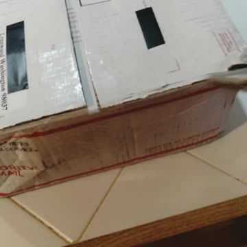 Journalist and Author Alicia Doyle excitement shipment of books. Fighting Chance.