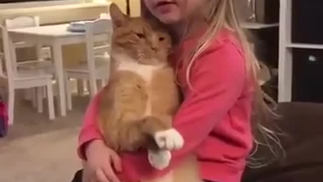 A little girl holds a cat and loves it