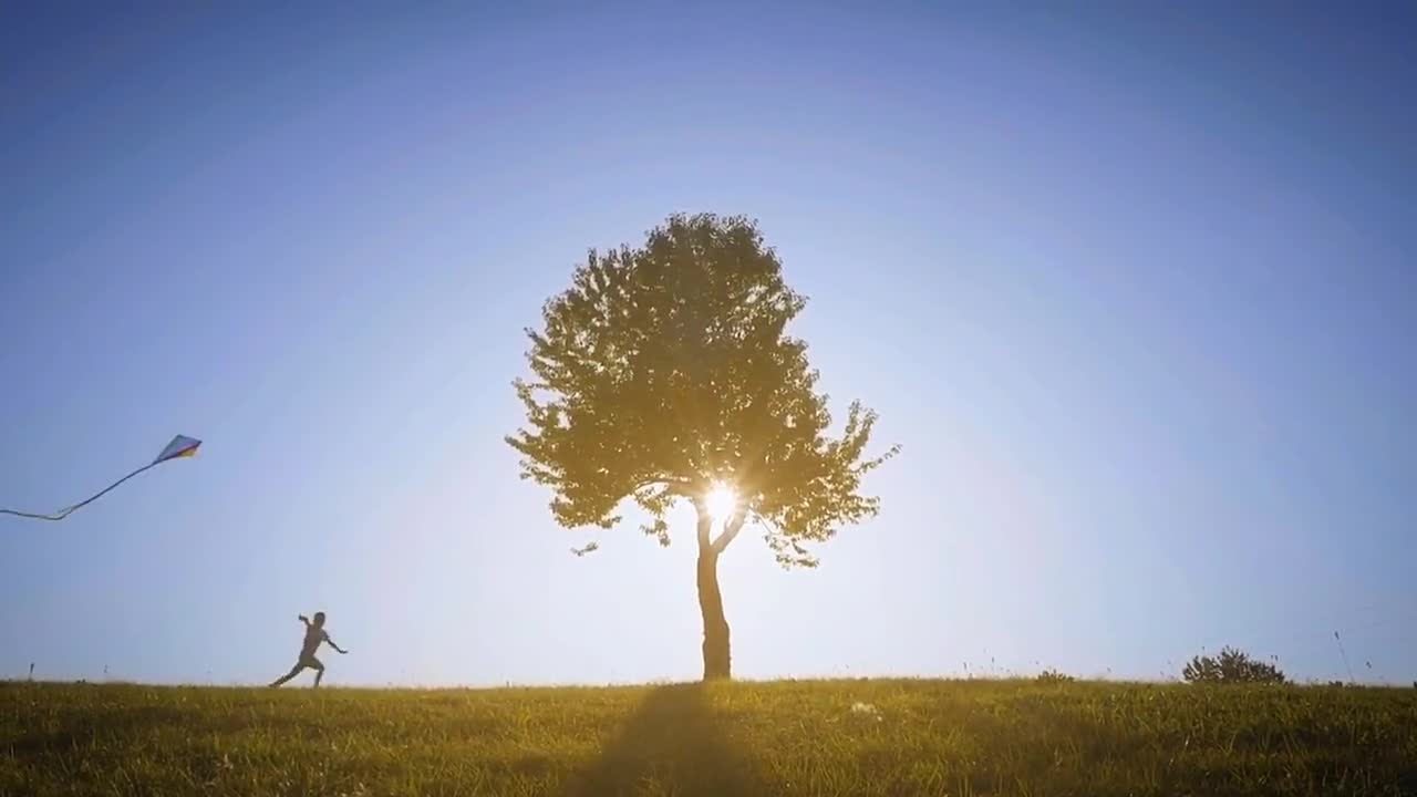 Flying a kite