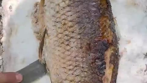 Doğada Tuzda Sazan Balığı 🐟 Salt Crusted Carp Fish