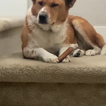 #MurphDocU: Mama thinks I'm a #crazyman; it's #myfriend Vinnie who is crazy.