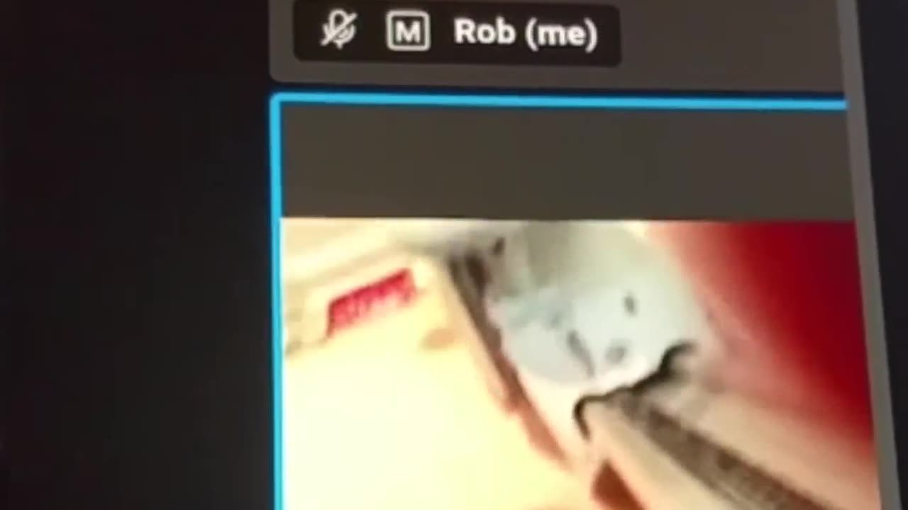 Stairlift repair by video chat short sample
