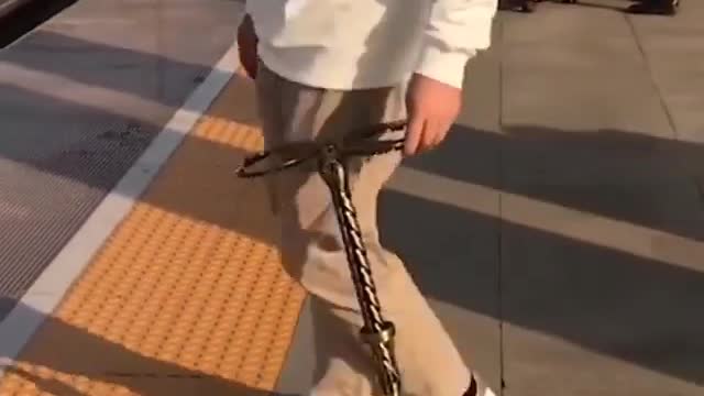 This walking stick chair is amazing