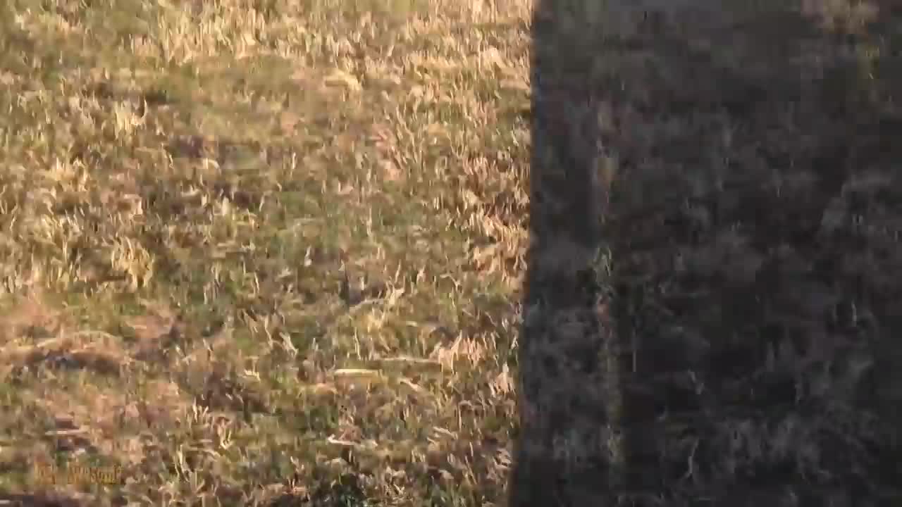 Funny child make you fun and enjoy