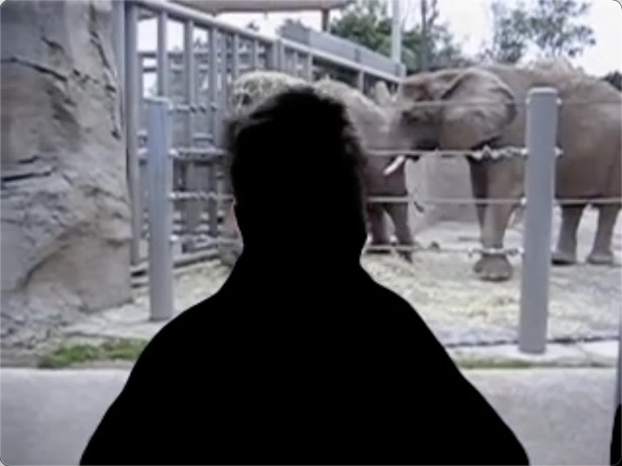 Not me at the zoo