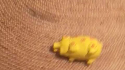 Rugers little pig toy
