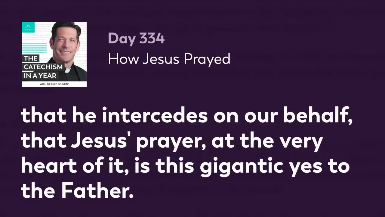 Day 334: How Jesus Prayed — The Catechism in a Year (with Fr. Mike Schmitz)