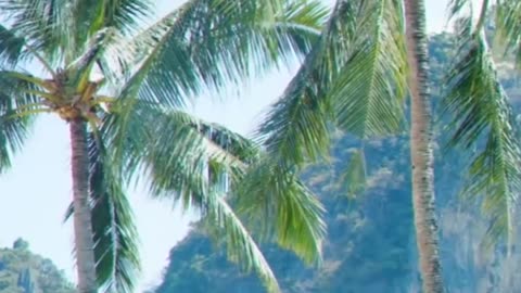 Rozy in Krabi