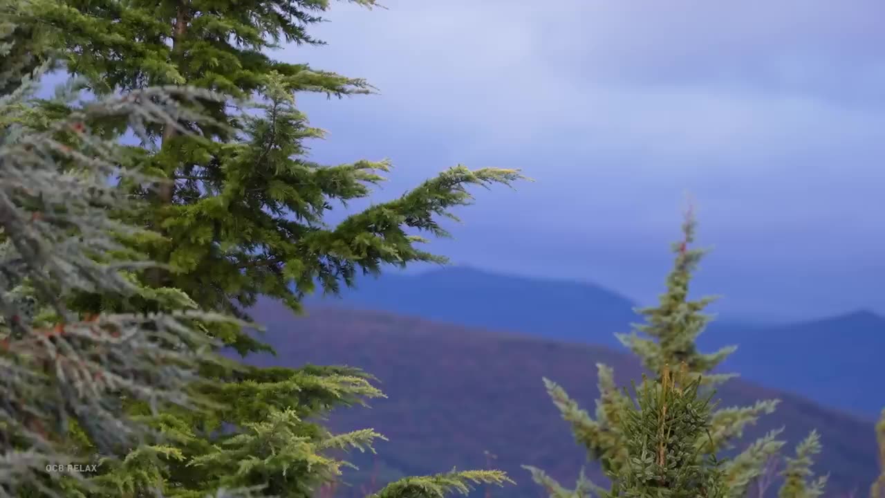 Thunder & Calming Piano Music | Peaceful Hideaway | Relaxing Music for Sleeping | Deep Sleep Music