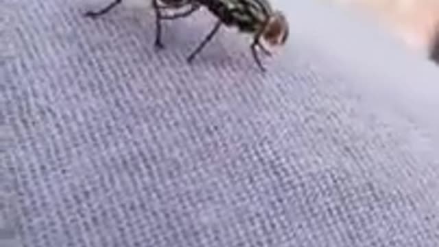 AAAHH...ISSO...ASSIM...VAI,VAI...AAAAAHHH