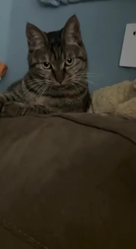 Almost gave myself a jolt 🤣