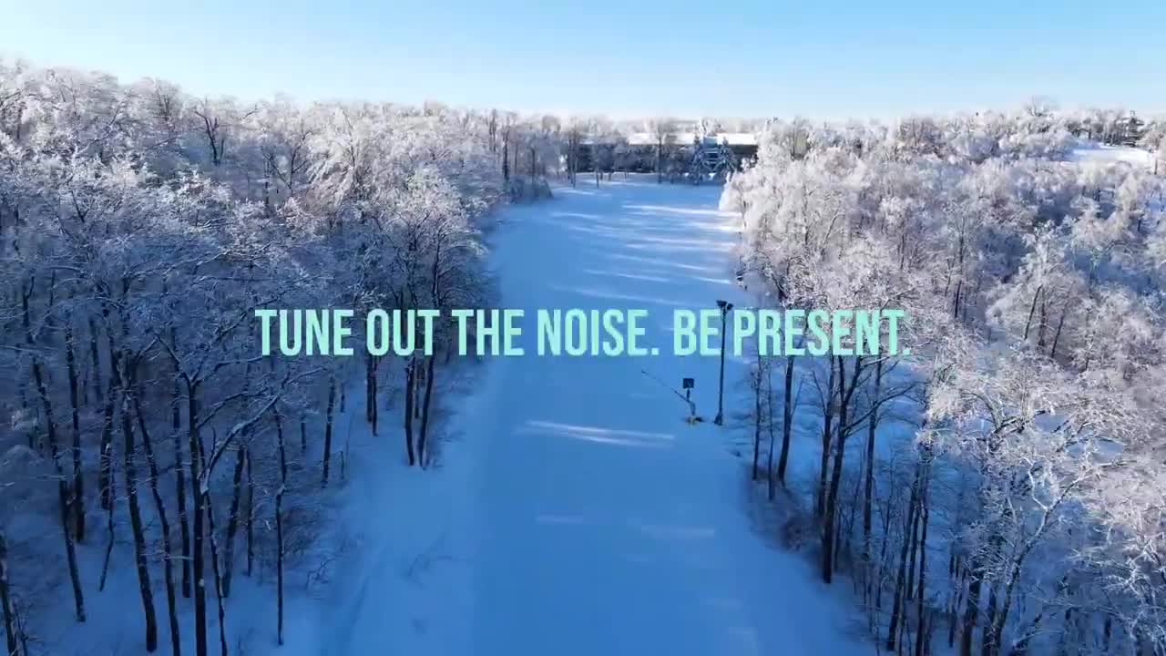 winter wonderland fly by