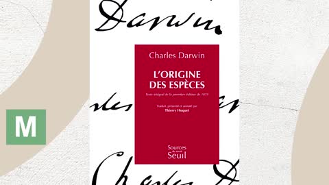 Livre aux sept sceaux Descellement des sept sceaux (2) : Le début du fléau rouge!!!