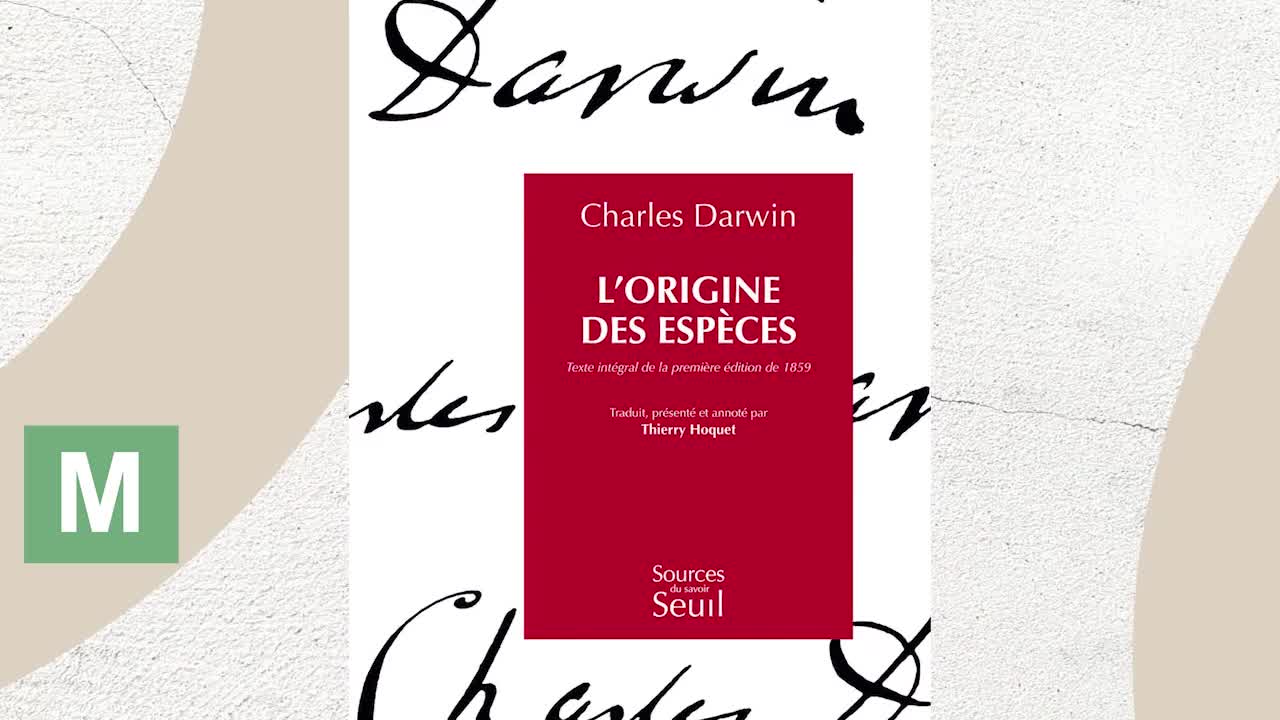 Livre aux sept sceaux Descellement des sept sceaux (2) : Le début du fléau rouge!!!