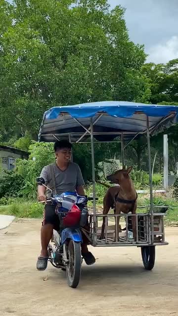 Hilarious riding a motorcycle streak