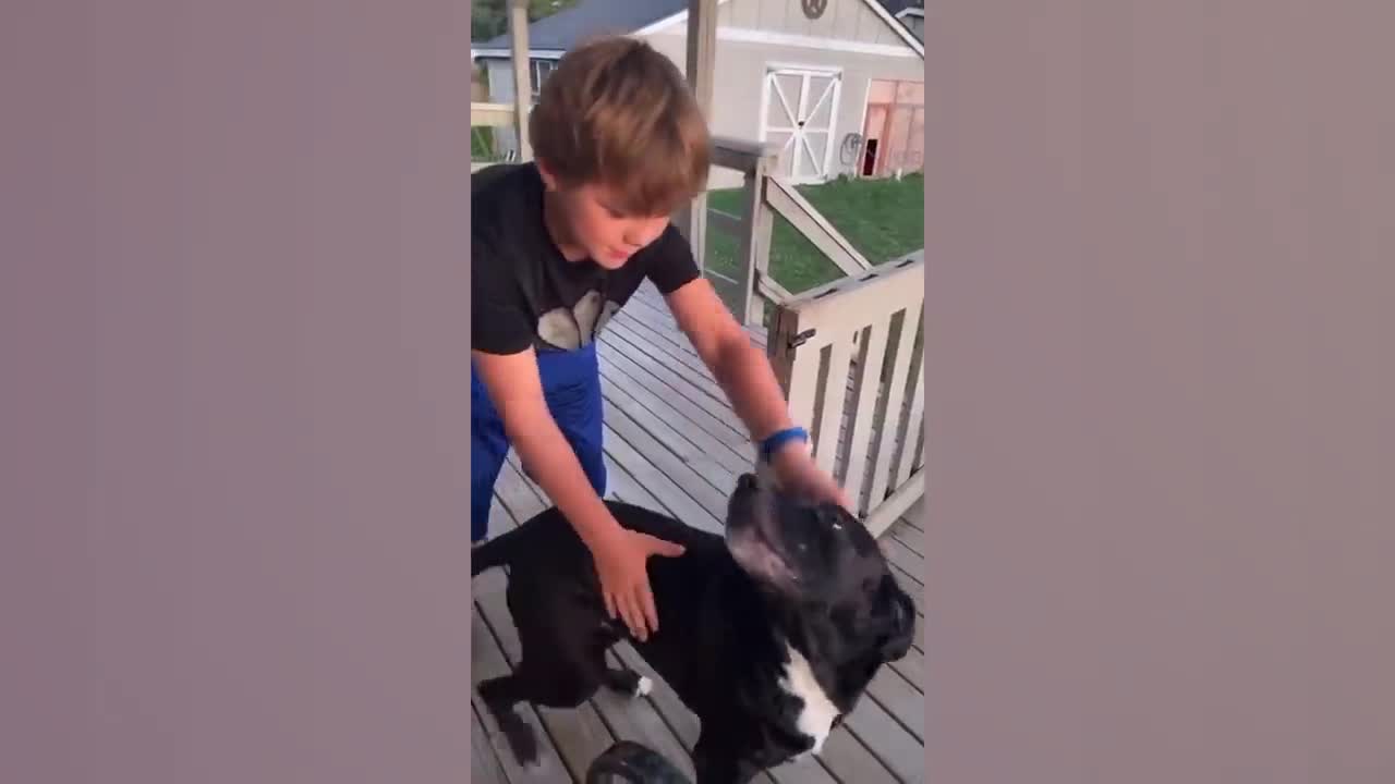 Animals are kids best friend(LOL) Watch this i doubt you won't laugh..