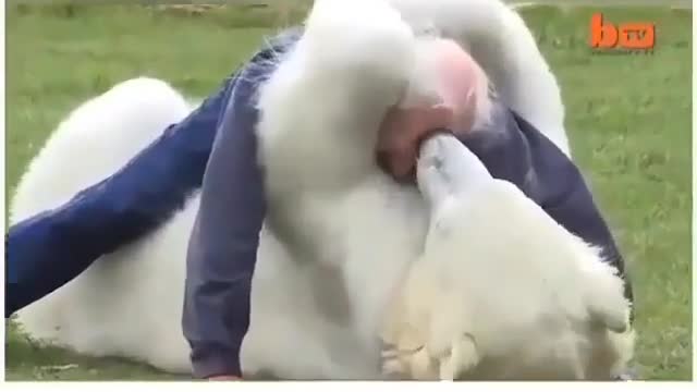 This is why I love animals ♥️